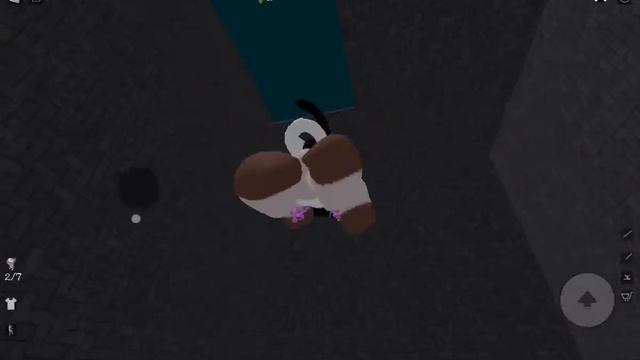 Попала к каким-то собакам, и спасла котов?ROBLOX DOGE HEAD ESCAPE смотреть онлайн