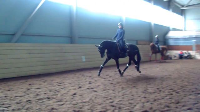 Ричард Блэк, РВП 4 года. Галоп, рысь, переходы смотреть онлайн