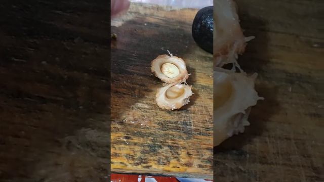 Plantado semillas de Durazno смотреть онлайн