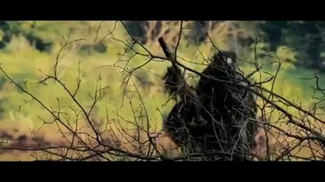 Airsoft Channel Страйкбол смотреть онлайн