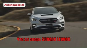 ОБЗОР СУБАРУ ЛЕВОРГ 2017 ТУРБО ЧТО ЗА ЗВЕРЬ LEVORG STI
