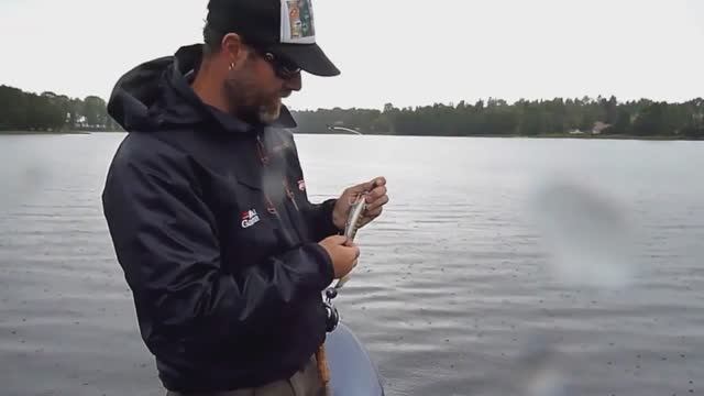 Mc Rubbler Svartzonker смотреть онлайн