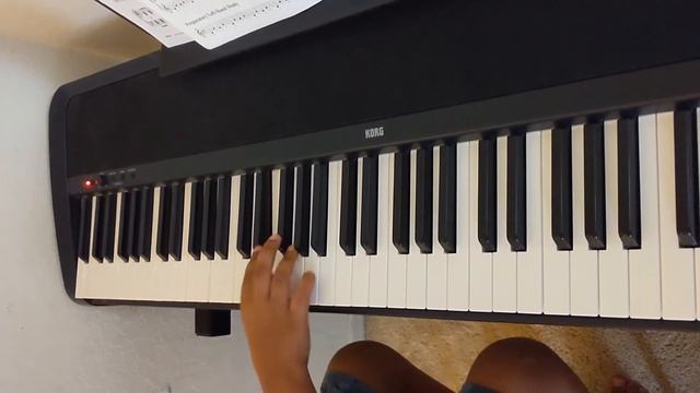 Pink Panther Theme Song - Piano Easy #korg #soundbrenner #pinkpanther #pinkpanthertheme смотреть онлайн