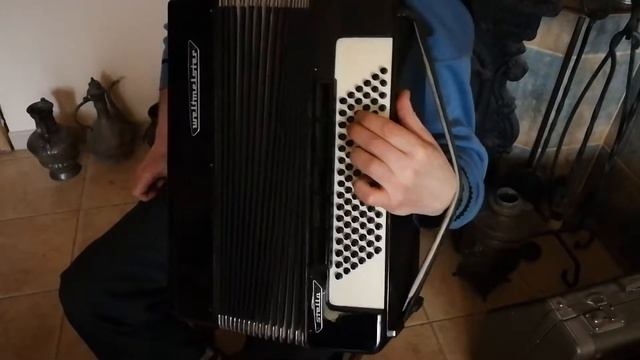 Weltmeister Stella 96 bass LMMH accordion (3) смотреть онлайн