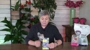 Неприхотливый цветок ? Сажаем Дидискус