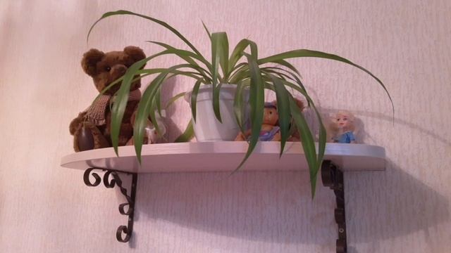 ХЛОРОФИТУМ смотреть онлайн