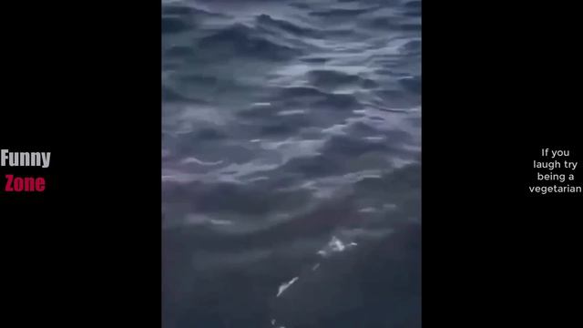 Попробуй не засмеяться (№3) смотреть онлайн