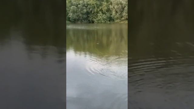 Рыбалка на обустроенном месте !