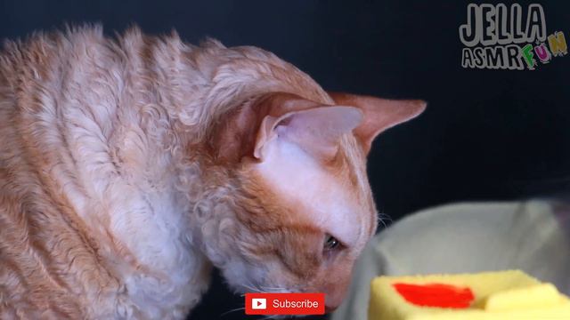 ASMR MUKBANG 먹방, YELLOW FOOD, CHOCOLATE, ICE CREAM, CAKE (CAT MORIS EATING CHICKEN) 케이크, 컬러, 아이스크림 смотреть онлайн