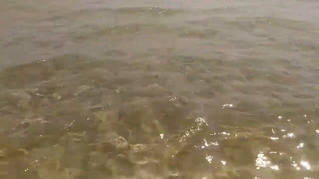 Крым. Сезон 2017. Вода +26, воздух +31 смотреть онлайн