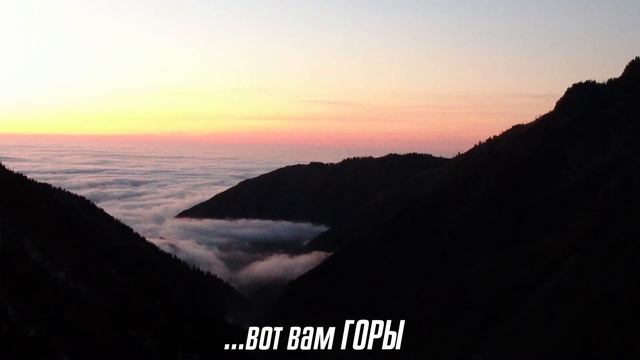 Алматы. Toyota Estima 1999 на примере Alphard 2019, вот где практичность) смотреть онлайн