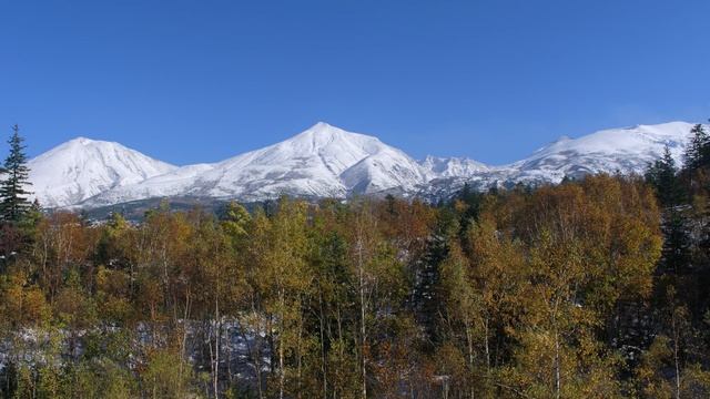Hokkaido and Tokyo (4K 60fps) смотреть онлайн