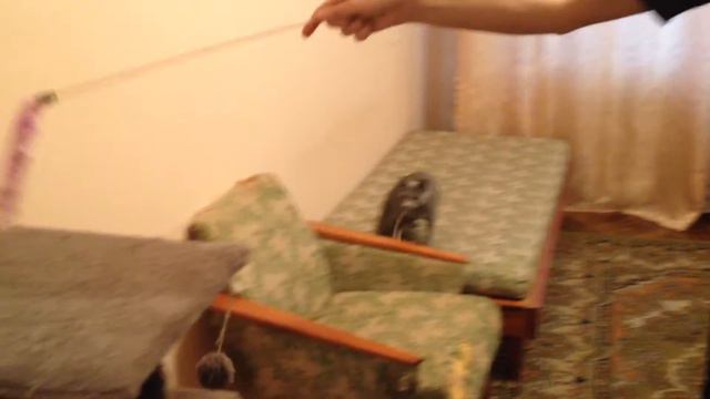 Есения играет смотреть онлайн