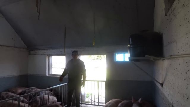 10 ДНІВ НЕЧІСТИВ В САРАЇ.? смотреть онлайн