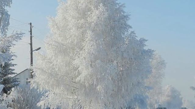 ИЗ ОСЕНИ ТЫ МАШЕШЬ МНЕ. сл. Игорь Гуревич, муз. исп. Ю. Старцев, ролик Анфиса Сербина. смотреть онлайн