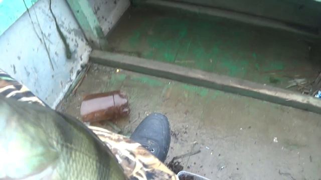 Рыбалка на притоке реки Дон. смотреть онлайн