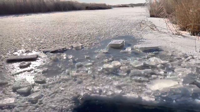 Дневник Голодающего. 4 день из 40. Ныряем в прорубь, шаманские пляски. #закаливание #здоровье смотреть онлайн