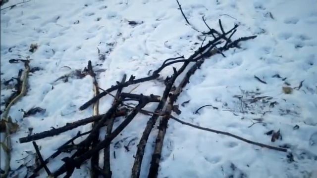 Пошехонка PS600, 2018 Обзор смотреть онлайн