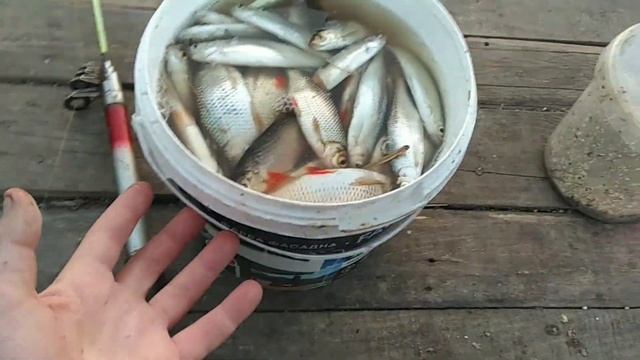 Сколько можно заработать на рыбалке. Как заработать школьнику. Как заработать на рыбалке. смотреть онлайн