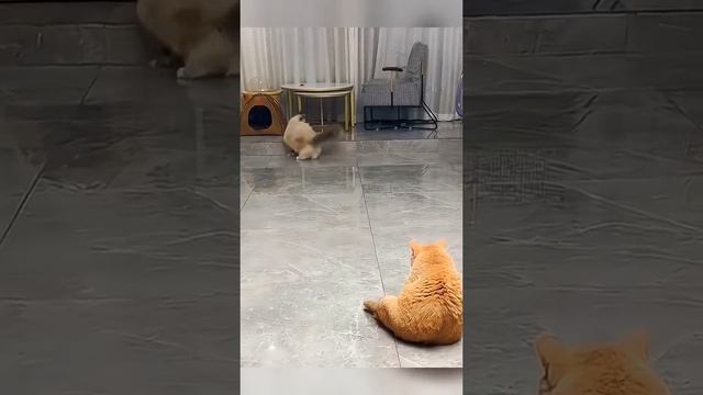 Футболер смотреть онлайн