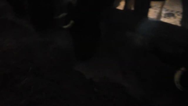 Обед с патокой смотреть онлайн