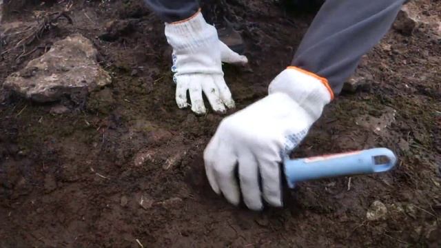 Раскопки в Изборско-Мальской долине 2017. Экспедиция Археологического клуба смотреть онлайн