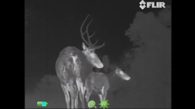 FLIR Scout III Image Quality смотреть онлайн
