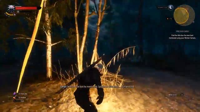 The Witcher 3 Wild Hunt Геймплей смотреть онлайн