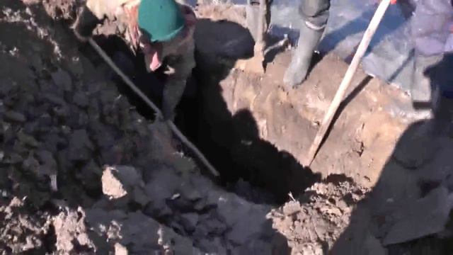 Рыжковский (Северный пруд) проедена запруда бобрами. 2017 смотреть онлайн