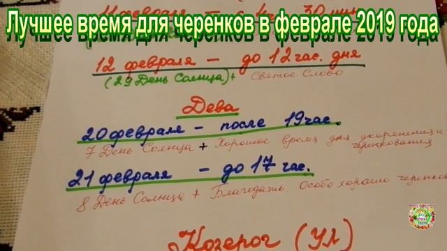 Лучшее время для черенков в феврале 2019 года смотреть онлайн