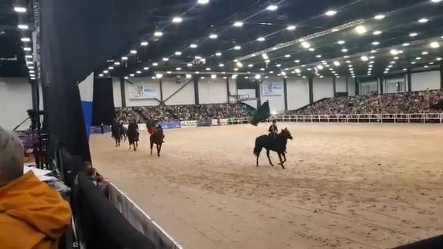 Иппосфера 2019. Кабардинская порода лошадей. смотреть онлайн