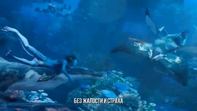 АВАТАР 2 - Песня ПУТЬ ВОДЫ Клип / Avatar The Way Of Water SONG MV смотреть онлайн