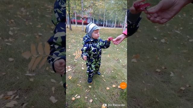 Как удалить мусор на фото в приложении Snapseed смотреть онлайн