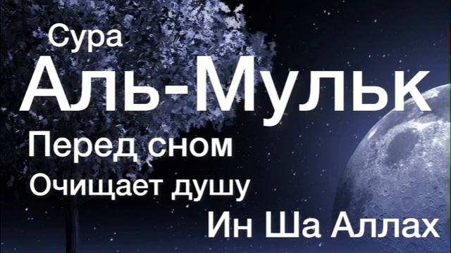 Сура Аль-Мульк. Перед сном очищает душу укрепляет Иман Ин Ша Аллах смотреть онлайн