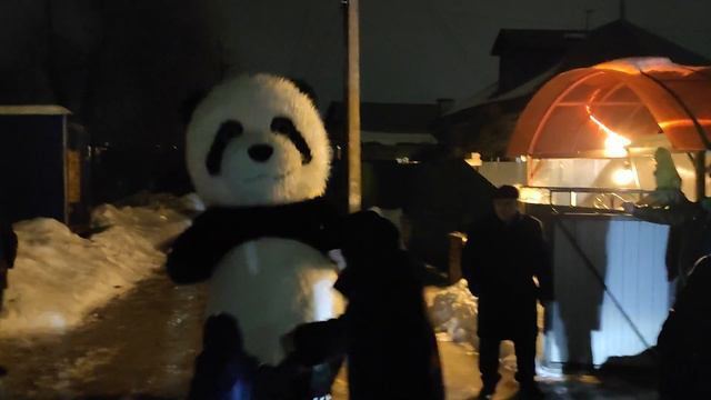 Ночь, гололёд и 🐼панда!!!! смотреть онлайн