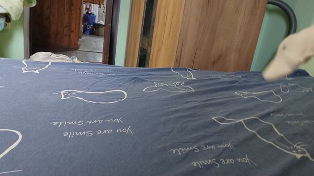 красноухая черепаха и бультерьер Этуаль Кастропуло Крым 29.01.2024 смотреть онлайн