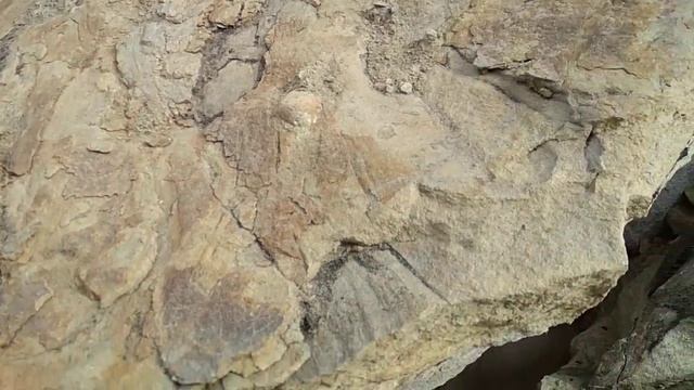 Окаменелости глина песчаник ,уголь в карьере смотреть онлайн