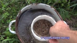 Как вырастить опарыша в домашних условиях, самый простой способ