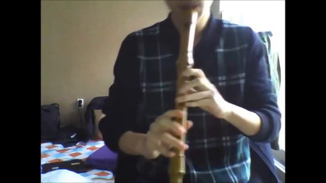 J.S. Bach - Sonata in E flat major, BWV 1031 - 2. Siciliano on treble recorder смотреть онлайн