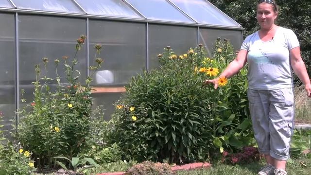 Senior College: The Perennial Garden смотреть онлайн