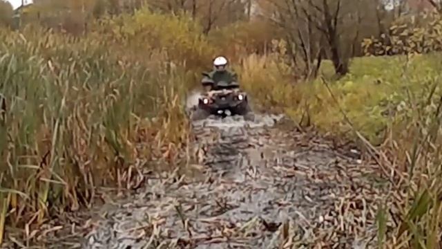 polar fox 400 смотреть онлайн