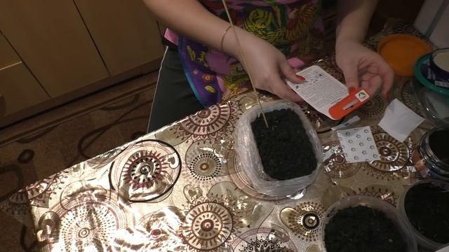 сажу томаты, пробуем творог Золотые Луга смотреть онлайн