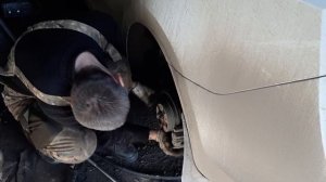 Замена ступичного подшипника Skoda Rapid + стойки стабилизатора!!!