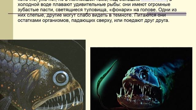жизнь в океане смотреть онлайн