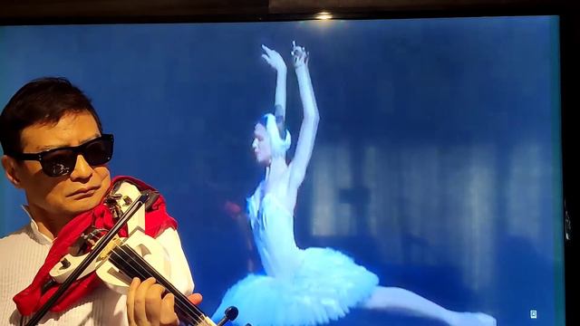 The Swan Le Cygne by C. Saint Saen with Russian Ballerina смотреть онлайн