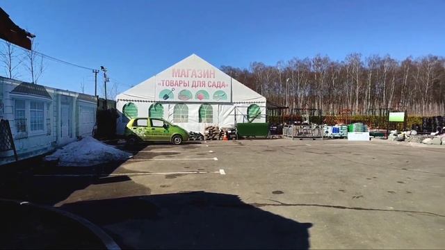 Едем в питомник Южный за  лиственницей Стифф Випер. Посадка лиственницы на штамбе Stiff Weeper