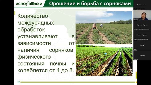 Культура томата. Морфологические и апробационные признаки смотреть онлайн