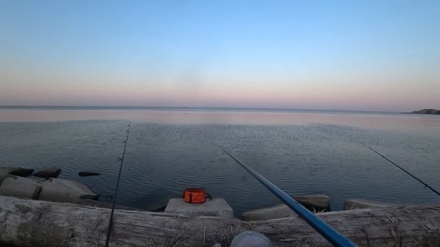 ЗАКИНУЛА ВЕДРО ПРИКОРМКИ,ЕЛЕ ПОДНИМАЮ ИХ! Рыбалка на поплавок смотреть онлайн