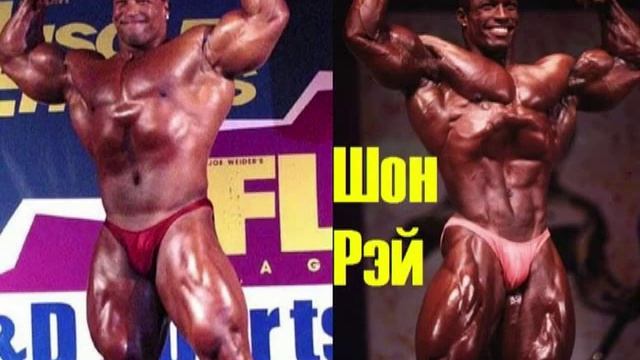 Великие бодибилдеры 