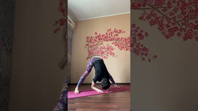 Йога 4️⃣ ШИРОКИЙ УГОЛ. Студия танца Rakassa, тренер Борисовская Елена смотреть онлайн